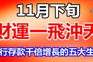 還有三天！11月下旬財運一飛沖天銀行存款千倍增長的五大生肖！