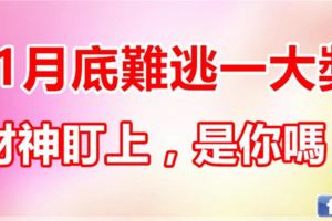 11月底天降橫財多，12生肖誰被財神盯上，難逃一大獎！