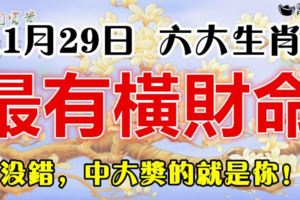 11月29日，最有橫財命的六大生肖！100%靈驗