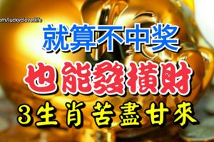 就算不中獎也能發橫財！3生肖苦盡甘來打破10年陰霾！