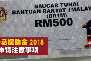 BR1M一馬援助金2018已開放申請·10大必知注意事項！