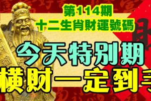 第114期十二生肖財運號碼。今天特別期，橫財一定到手！