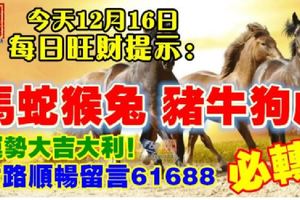 今天12月16日,每日旺財提示：馬蛇猴兔，豬牛狗虎。運勢大吉大利！財路順暢留言61688必轉！