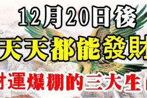 12月20日後，財運爆棚，天天都能發財的三大生肖！