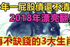 今年一屁股債還不清，2018年漂亮翻身、再不缺錢的3大生肖！