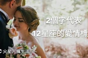 兩個字代表，12星座的愛情標籤