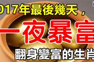 2017年最後幾天，最容易一夜暴富的生肖，有你嗎？