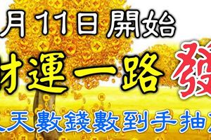 1月11日開始，財運一路發，天天數錢數到手抽筋的四生肖