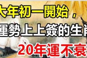 大年初一起，3生肖運勢上上簽，鴻運當頭，大財「砸」身要發財！&12號到1月底好運勢不可擋，事事如意，橫財穩賺，吃喝不愁3生肖！