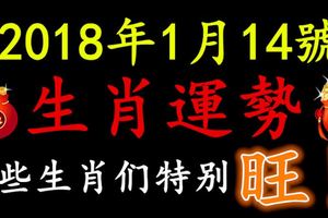 1月14號生肖運勢早知道