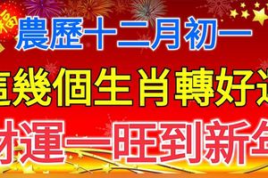 農歷十二月初一，這幾個生肖轉好運，財運一旺到新年！