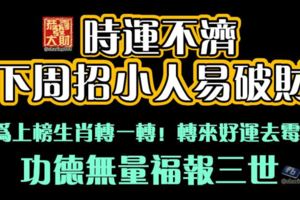 時運不濟，下週招小人易破財。請為上榜生肖轉一轉！轉來好運去黴運。功德無量福報三世！