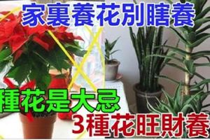 馬上快過年了！家裡養花別瞎養，這2種花是「大忌」，而3種花「旺財養人」！