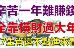 說的就是你！辛苦一年難賺錢，全靠橫財過大年！這7生肖還不點進來看?