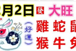 2月2日生肖運勢_雞、蛇、鼠大吉