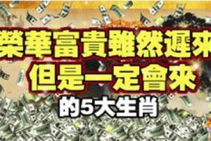 榮華富貴雖然遲來，但是一定會來的5大生肖