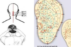 一身之氣貫於耳，耳朵這顆「養生丹」每天十分鐘，通暢全身氣血