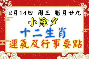 2月14日週三臘月廿九：小除夕今日十二生肖運氣及行事要點