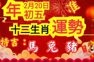 准！2月20日年初五生肖運勢，特吉:馬兔豬必轉