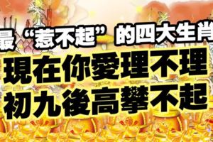 最「惹不起」的四大生肖，現在你愛理不理，初九後高攀不起！