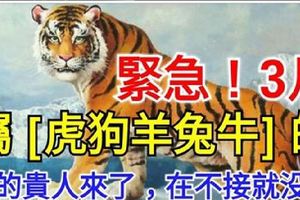 緊急！3月，屬【虎狗羊兔牛】的人，你的貴人來了，在不接就沒了！