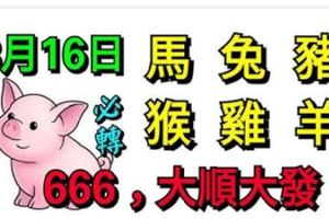 3月16日生肖運勢_馬、兔、豬大吉