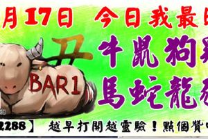 3月17日，今日我最旺！牛鼠狗雞馬蛇龍豬！【22288】越早打開越靈驗！點個贊吧！