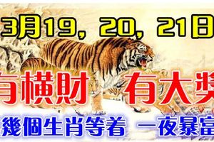 3月19，20，21日。有橫財，有大獎！這幾個生肖等著一夜暴富！