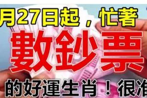 3月27日起，財富大增，忙著數鈔票的生肖！