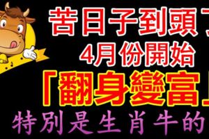 苦日子到頭了，這三大生肖4月份開始「翻身變富」，特別是生肖牛