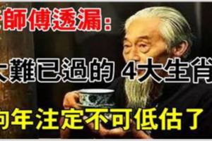 老師傅不小心透露：大難已過的4大生肖，狗年前途無量，註定不可低估！