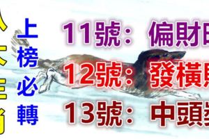 八大生肖鴻運當頭：11號偏財旺，12號發橫財，13號中頭獎！