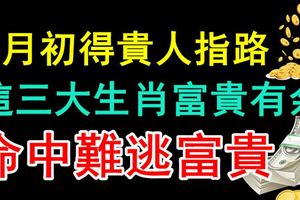 5月初得貴人指路，這三大生肖富貴有餘，命中難逃富貴