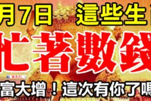 5月7日起，財富突然大增，忙著數鈔票的生肖！