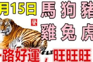 6月15日生肖運【馬、狗、豬大吉】【雞、兔、虎旺旺旺】