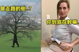 15張會讓你的「腦袋立馬出現黑人問號」的奇葩照片