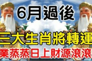 6月過後三大生肖將轉運，事業蒸蒸日上財源滾滾來！