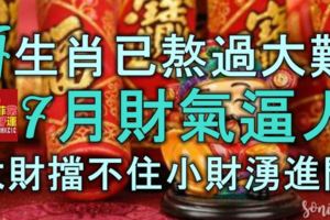 4生肖已熬過大難，7月財氣逼人，大財擋不住，小財湧進門準發達