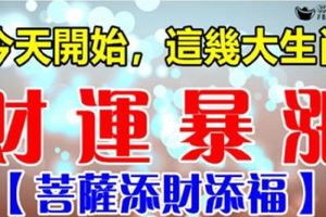 今天開始，這幾大生肖財運暴漲【菩薩添財添福】