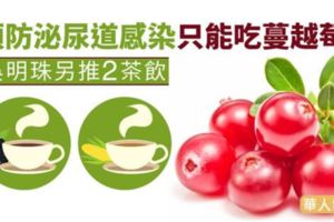 中醫師教預防泌尿道感染只能吃蔓越莓？吳明珠另推2茶飲