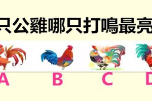 4隻公雞，哪只打鳴最亮？測你在7月有沒有好事發生？