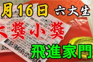 7月16日，大獎小獎飛進家門的6個生肖。