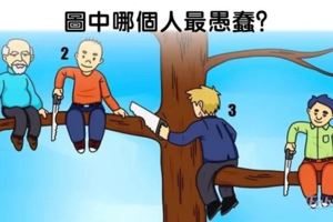 心理學：直覺認為誰更愚蠢？測你獨特的性格天賦