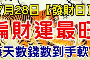 7月28日【發財日】偏財運最旺的生肖，每天數錢數到手軟！有你嗎？