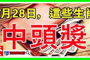 7月28日，發財日，這些生肖中頭獎。有你嗎？