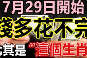 順風順水順財運，福多運多驚喜多！7月29日開始，錢多到根本花不完的生肖！