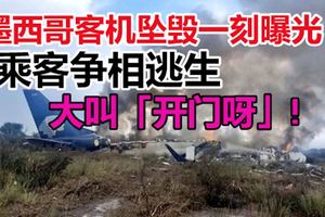 墨西哥客機墜毀一刻曝光　乘客爭相逃生大叫「開門呀」