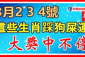 8月234號，這些生肖踩狗屎運！橫財大發800萬！