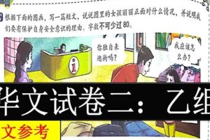 UPSR系列-華文試卷二-乙組的模範習題與答案