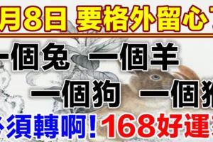 8月8日要格外留心了，一個兔，一個羊，一個狗，一個猴必須轉啊！